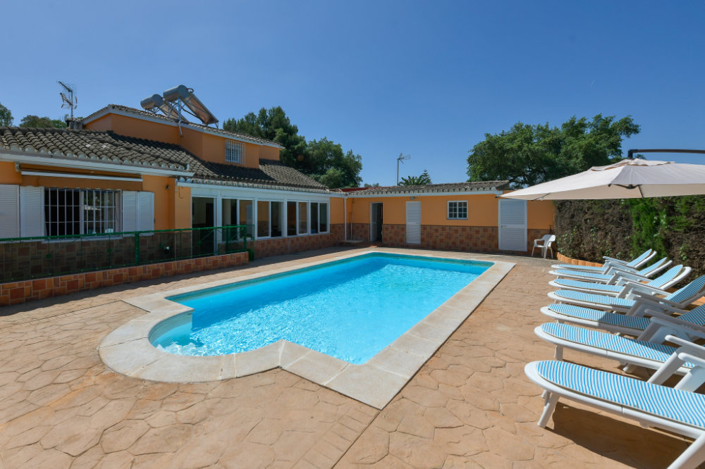 patio naranjos